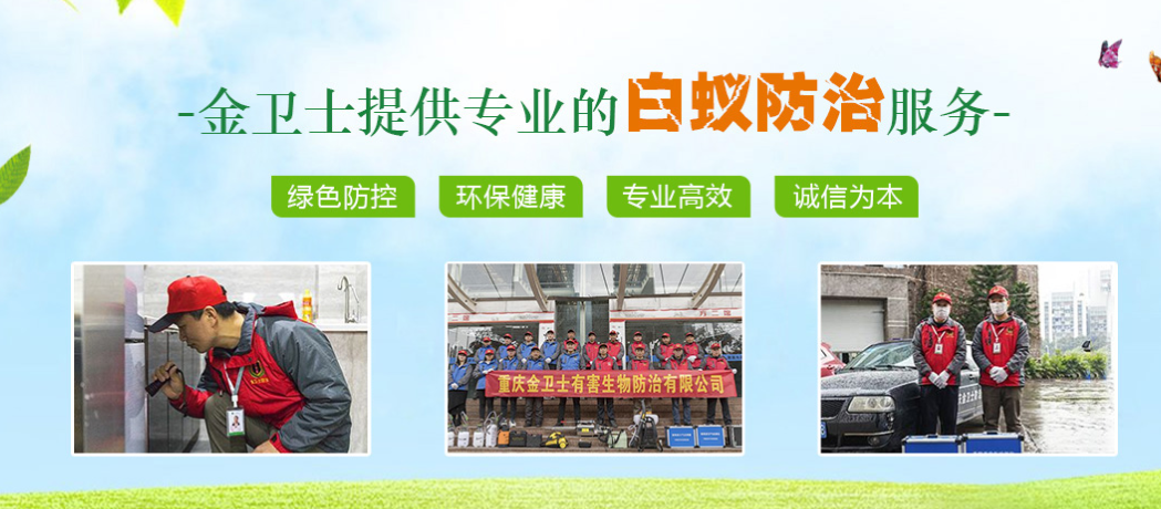 春季3月時期，白蟻消殺工作任重而道遠  ?