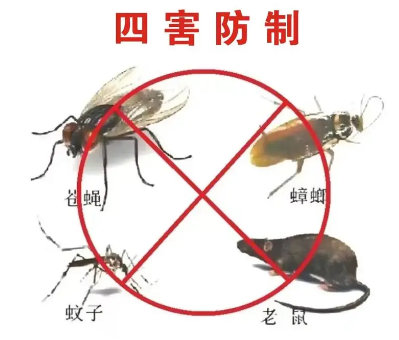 床墊易滋生吸血臭蟲，怎樣預(yù)防呢？